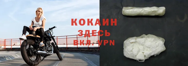 Cocaine FishScale  сколько стоит  Москва 