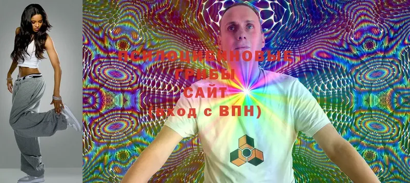 Псилоцибиновые грибы Magic Shrooms  наркошоп  Москва 